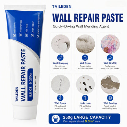 WALL REPAIR PASTE